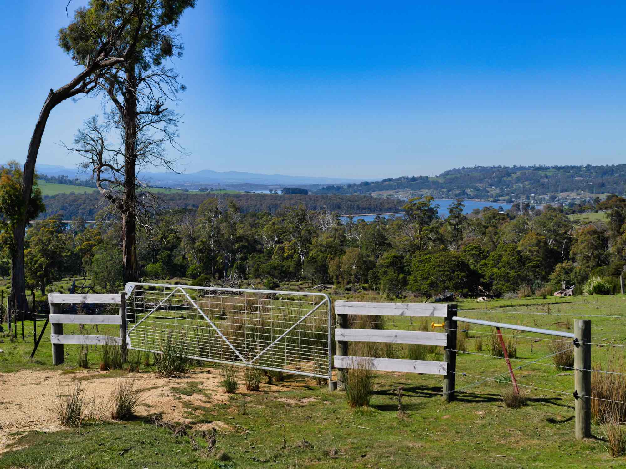 Property/137 Hendersons Lane, Gravelly Beach, TAS, 7276 - Image 5