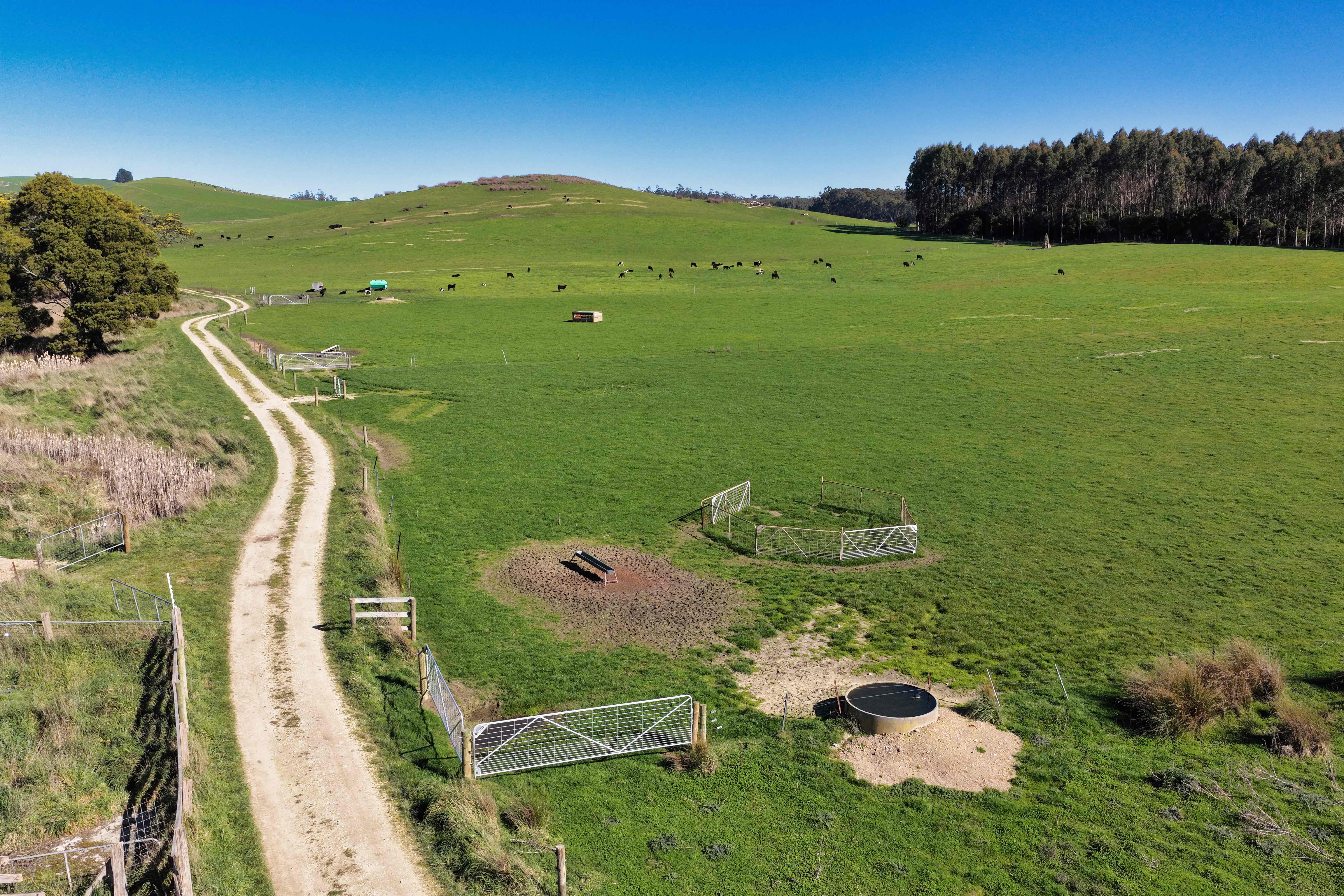 Warrentinna Road, Winnaleah, TAS, 7265 - Image 2