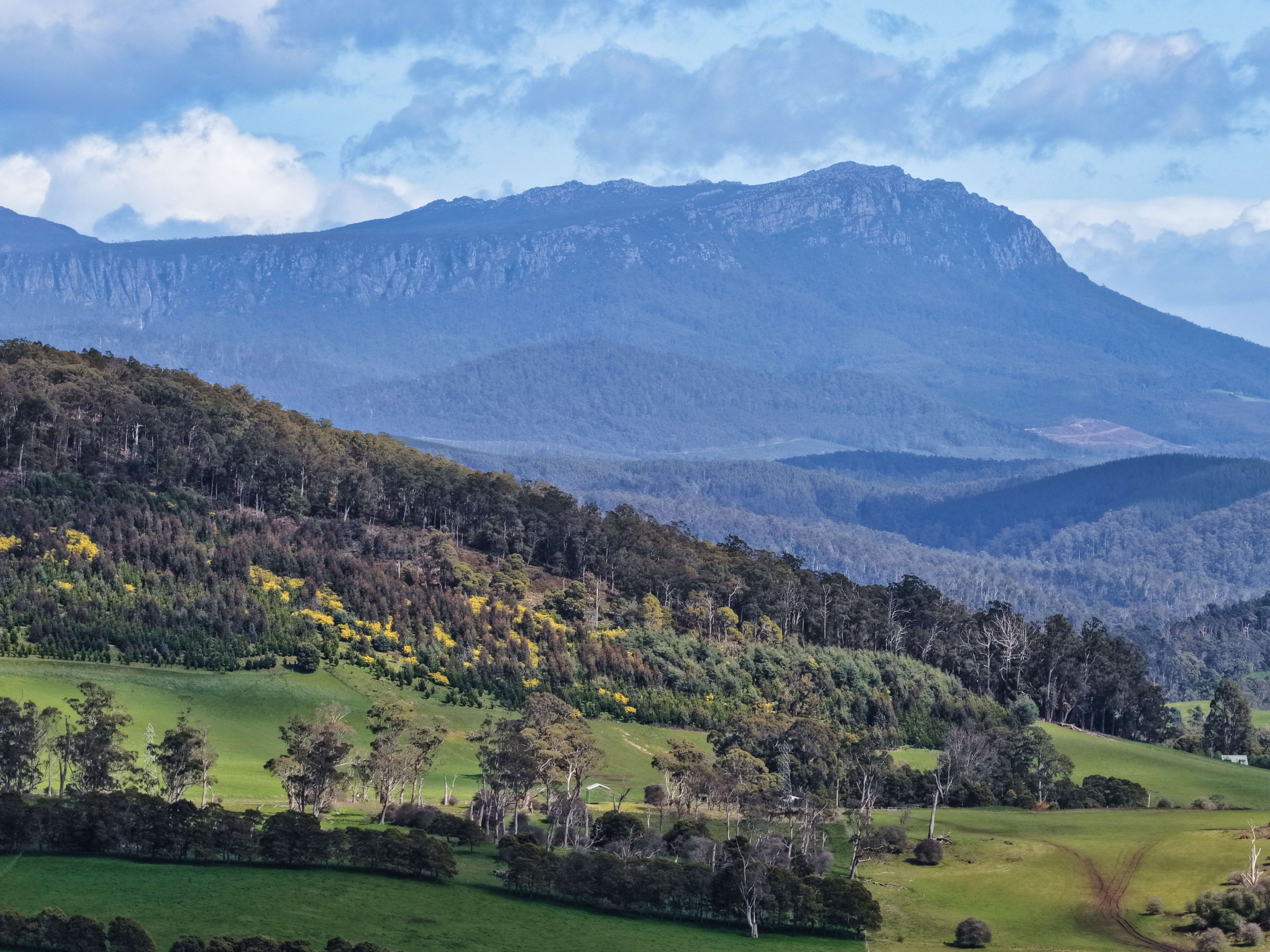 475 Dunorlan Road, Dunorlan, TAS, 7304 - Image 12