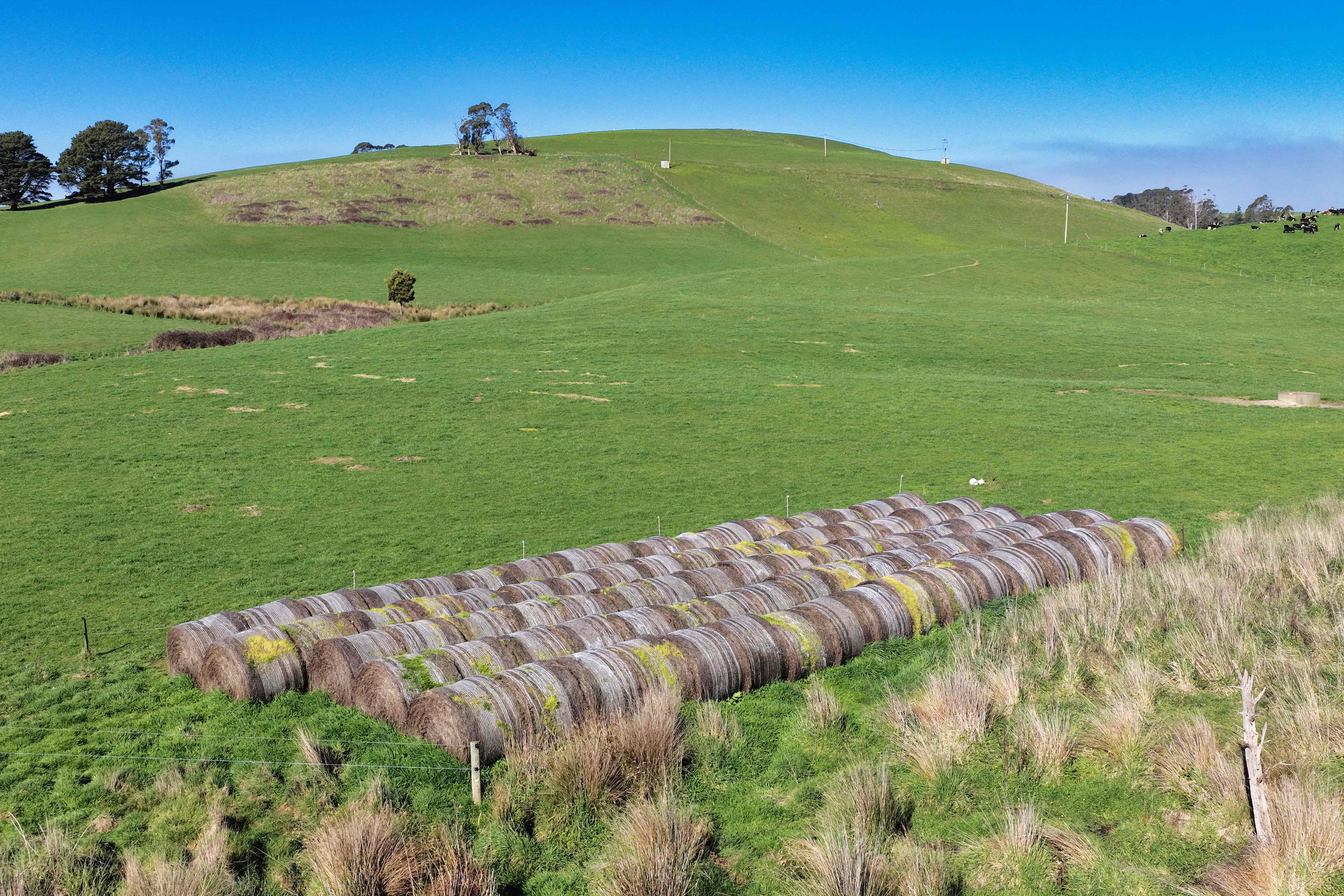 Warrentinna Road, Winnaleah, TAS, 7265 - Image 4