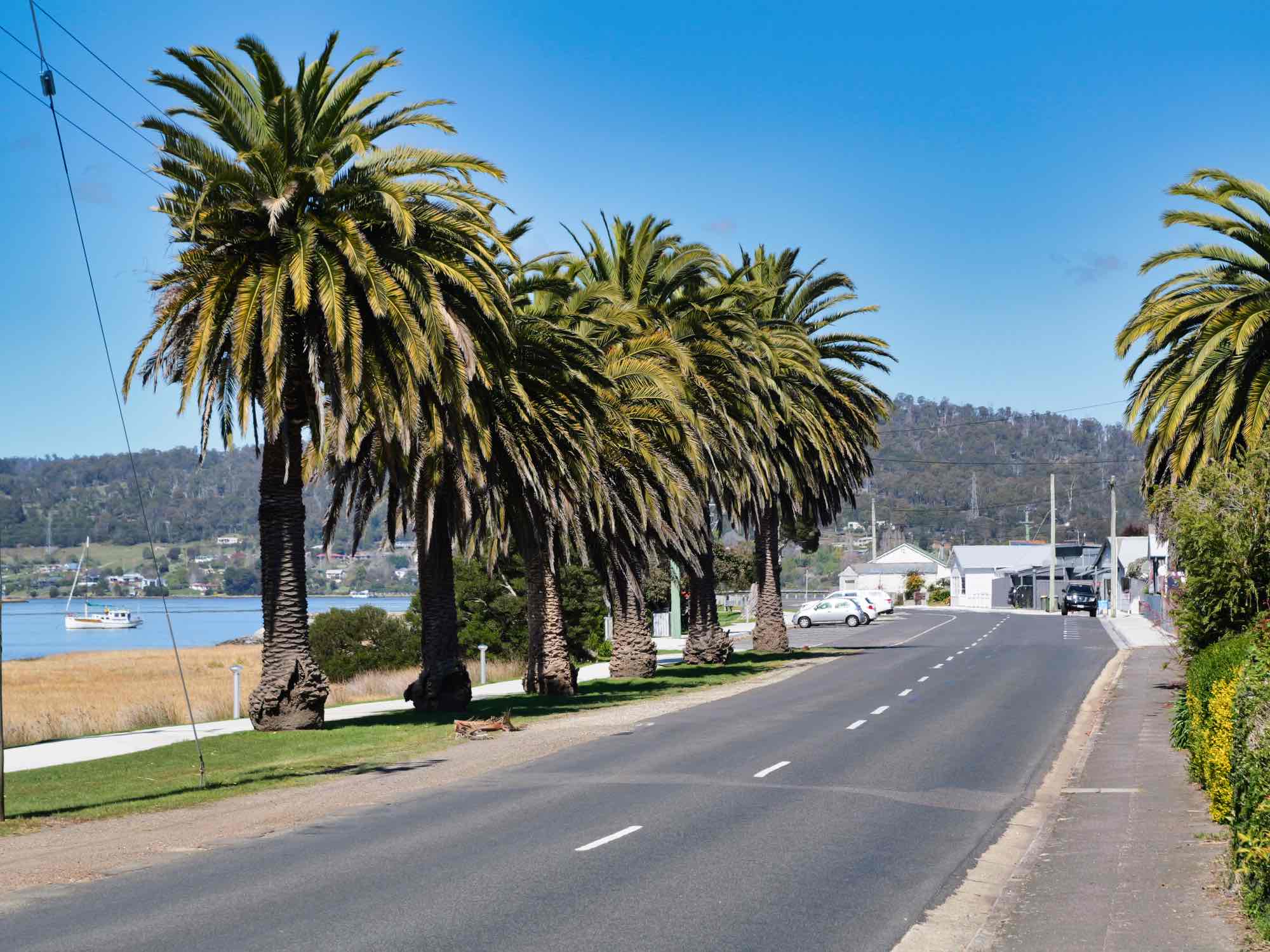 Property/137 Hendersons Lane, Gravelly Beach, TAS, 7276 - Image 17