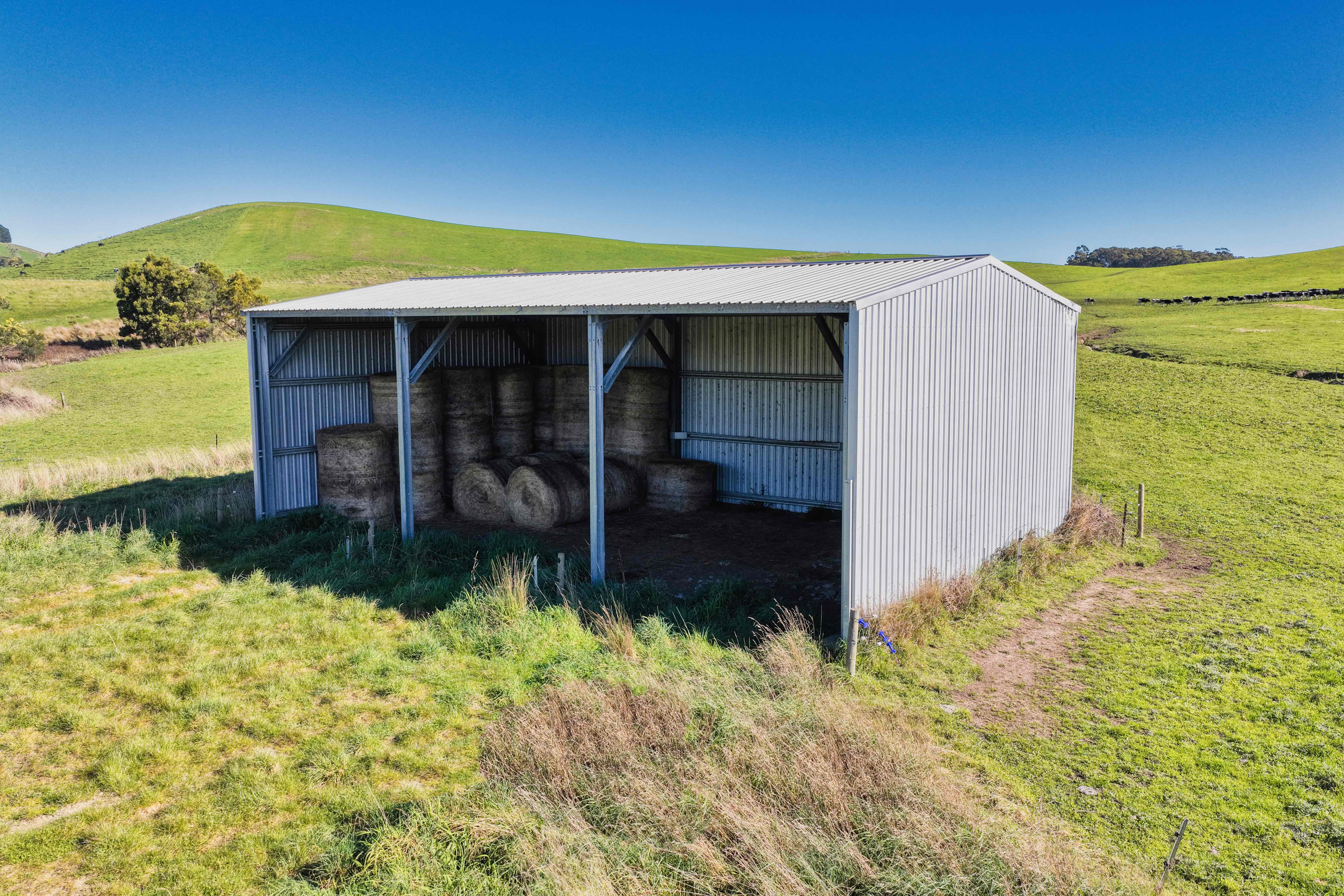 Warrentinna Road, Winnaleah, TAS, 7265 - Image 11