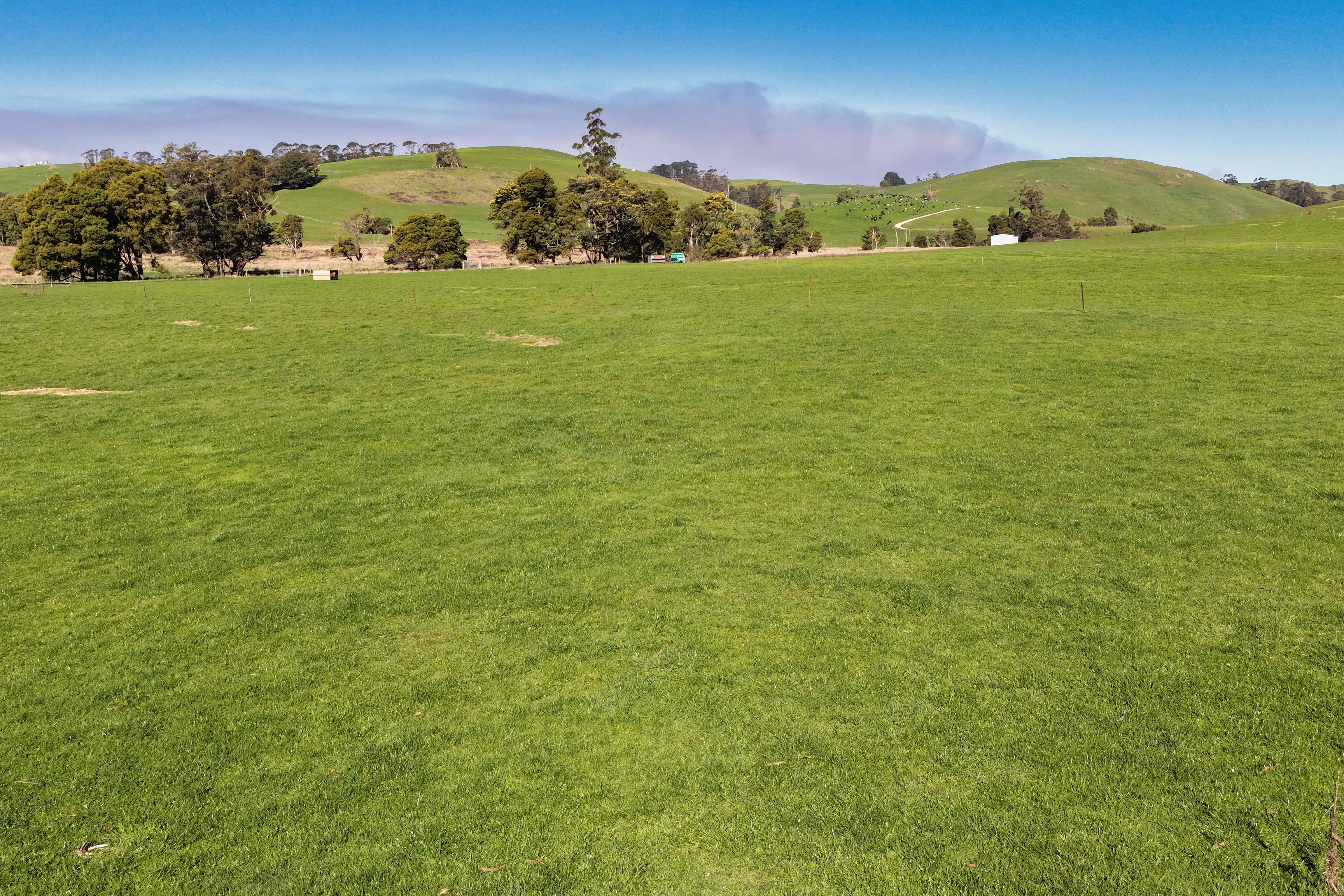 Warrentinna Road, Winnaleah, TAS, 7265 - Image 3