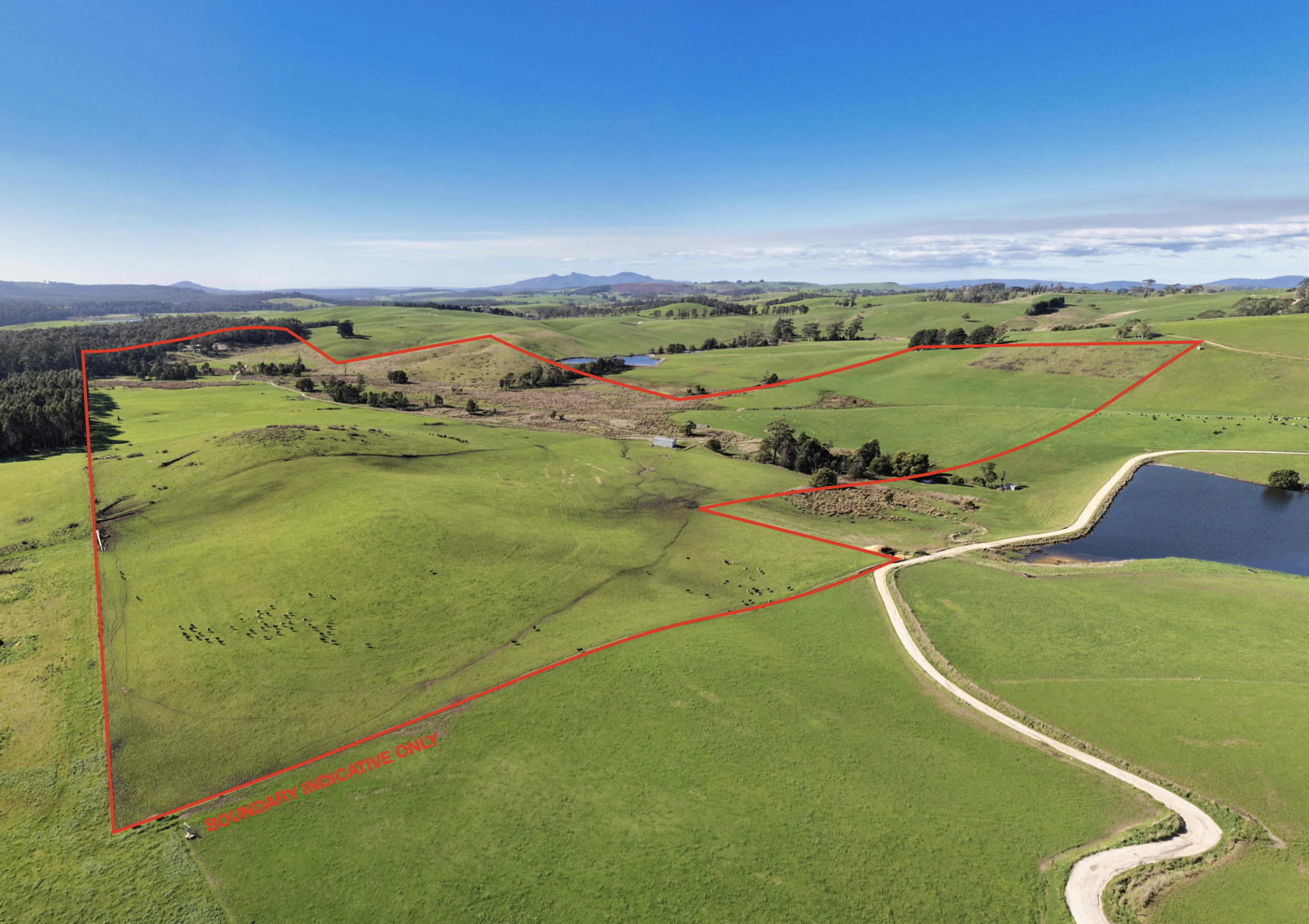 Warrentinna Road, Winnaleah, TAS, 7265 - Image 5
