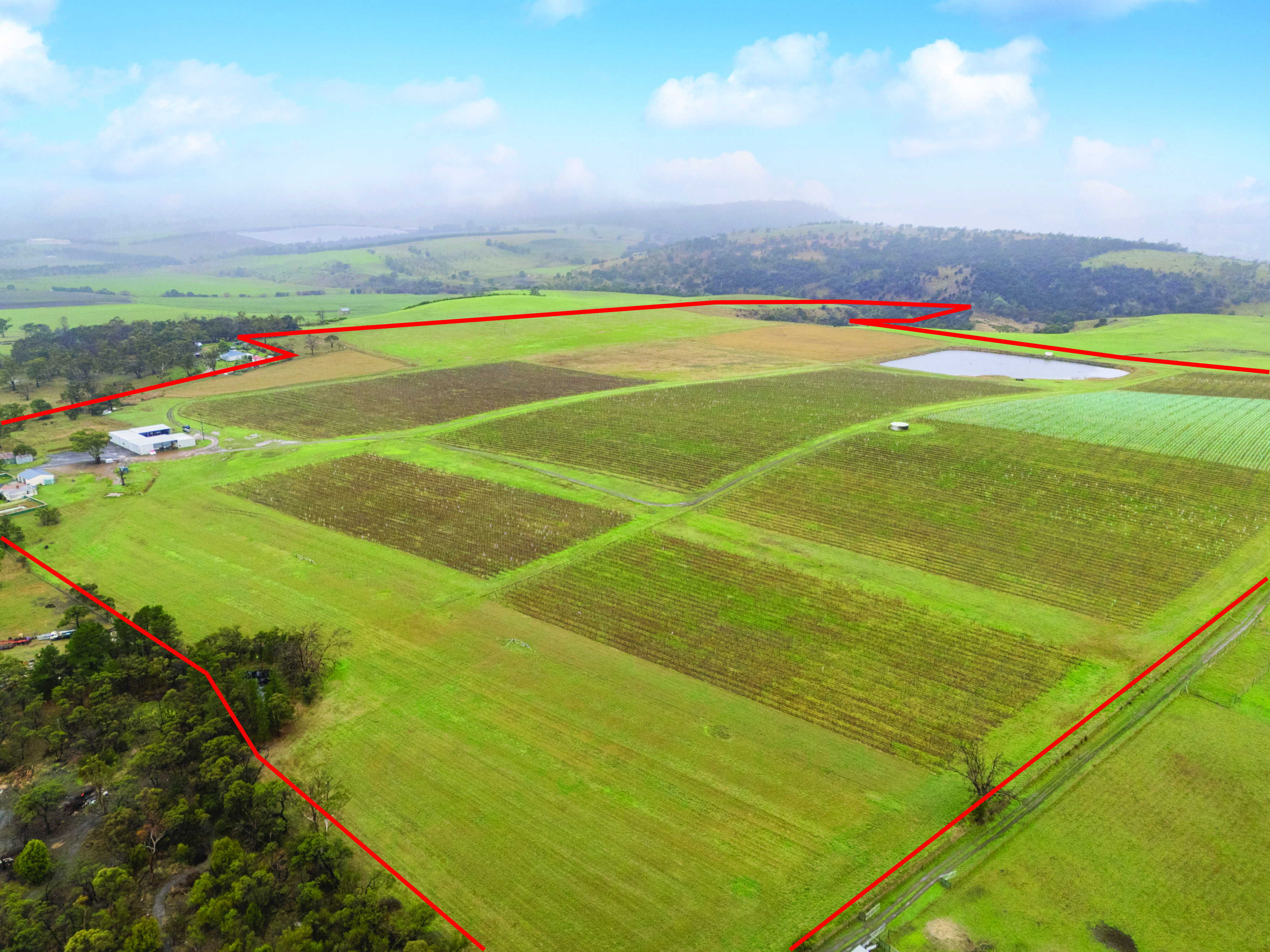 14 Brownwood Estate Road, Campania For Sale by Farmbuy.com - image 2