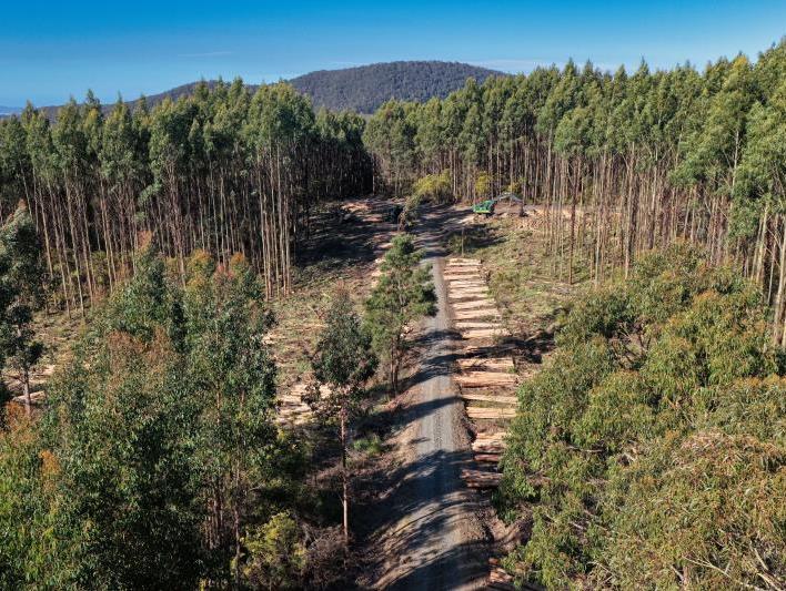 561 Holwell Road, Beaconsfield, TAS, 7270 - Image 2