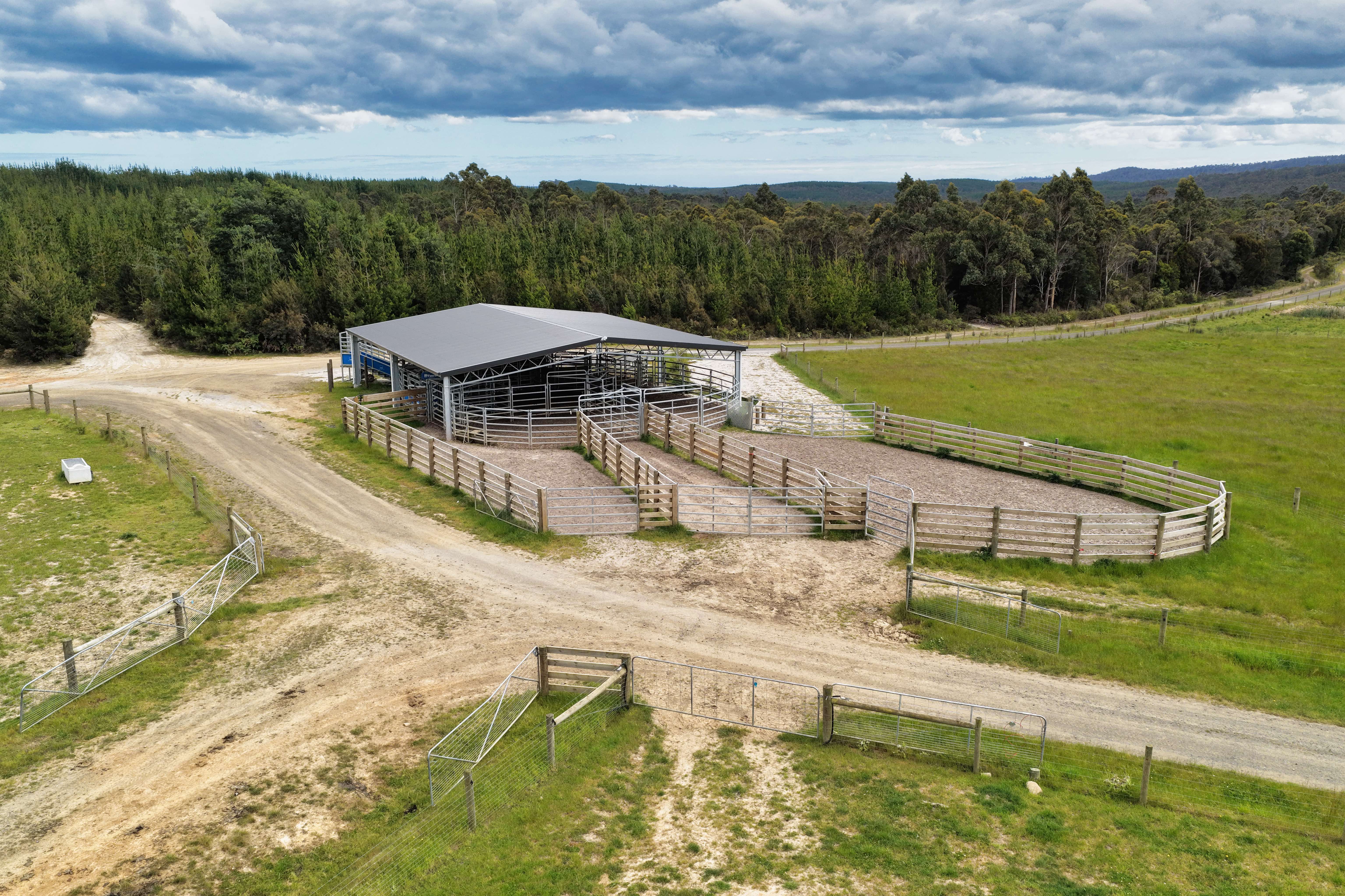 62 Bridport Back Road, Nabowla For Sale by Farmbuy.com - image 12