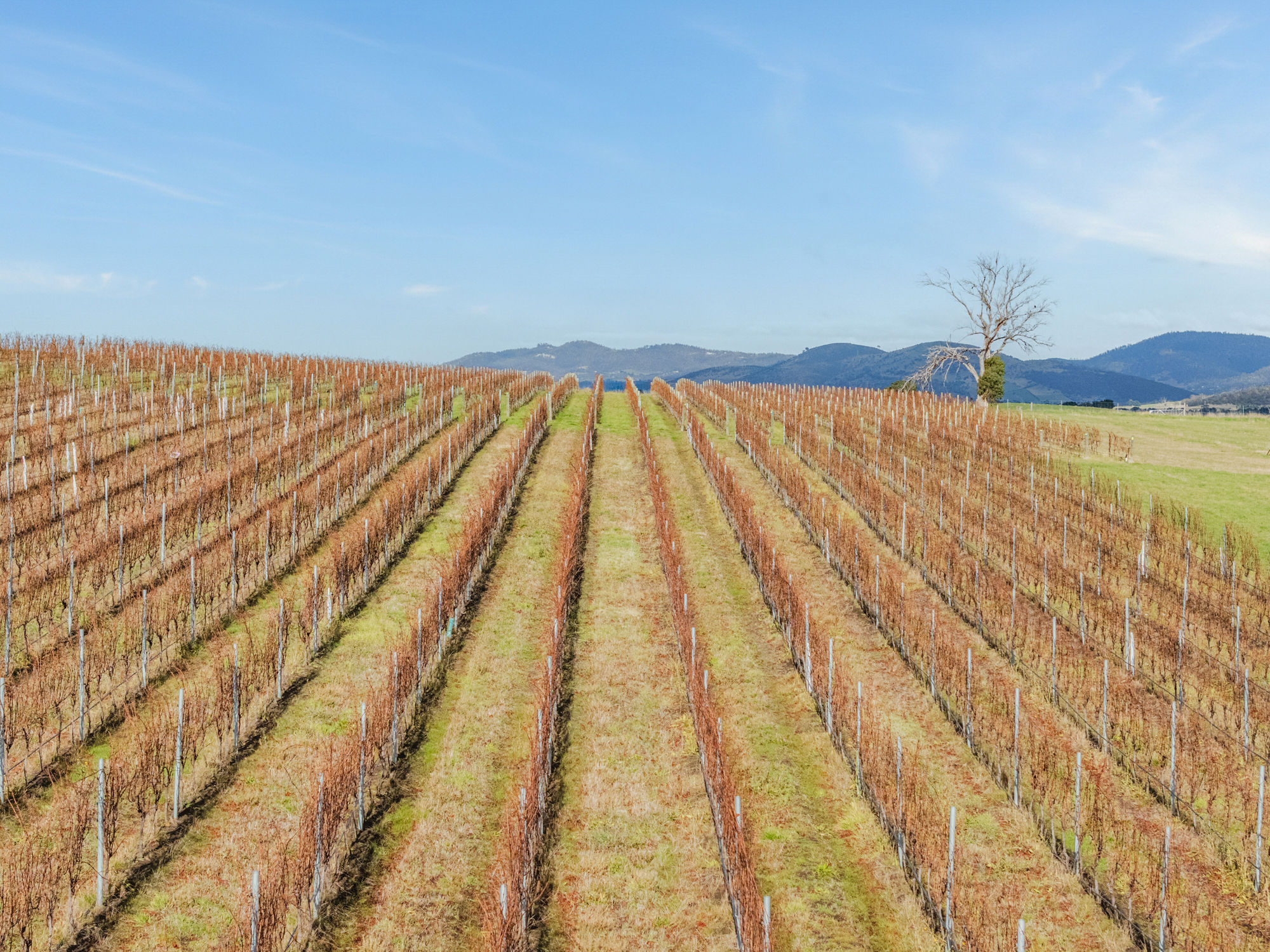 14 Brownwood Estate Road, Campania, TAS, 7026 - Image 3