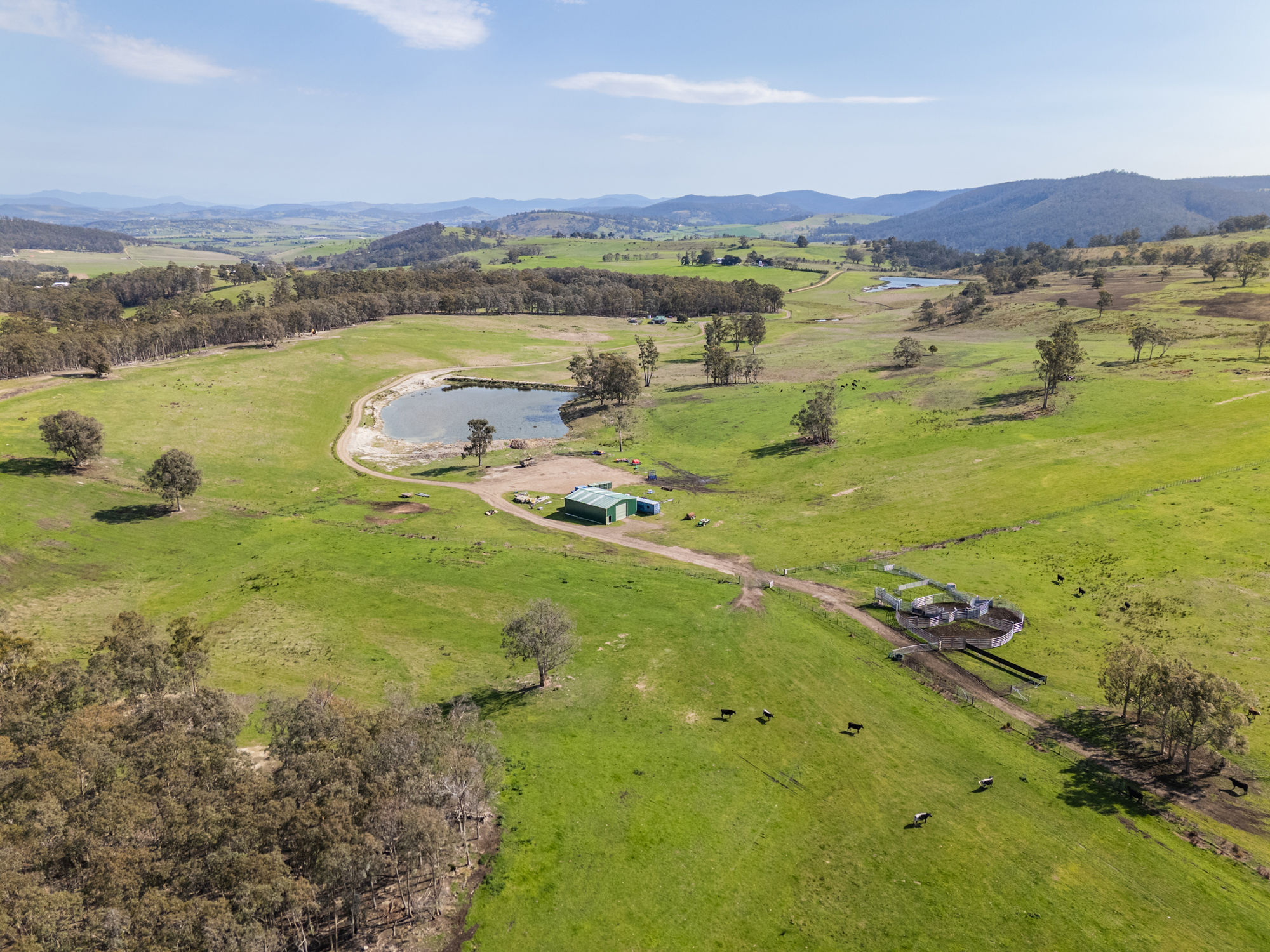492 Delmore Road, Wattle Hill, TAS, 7172
