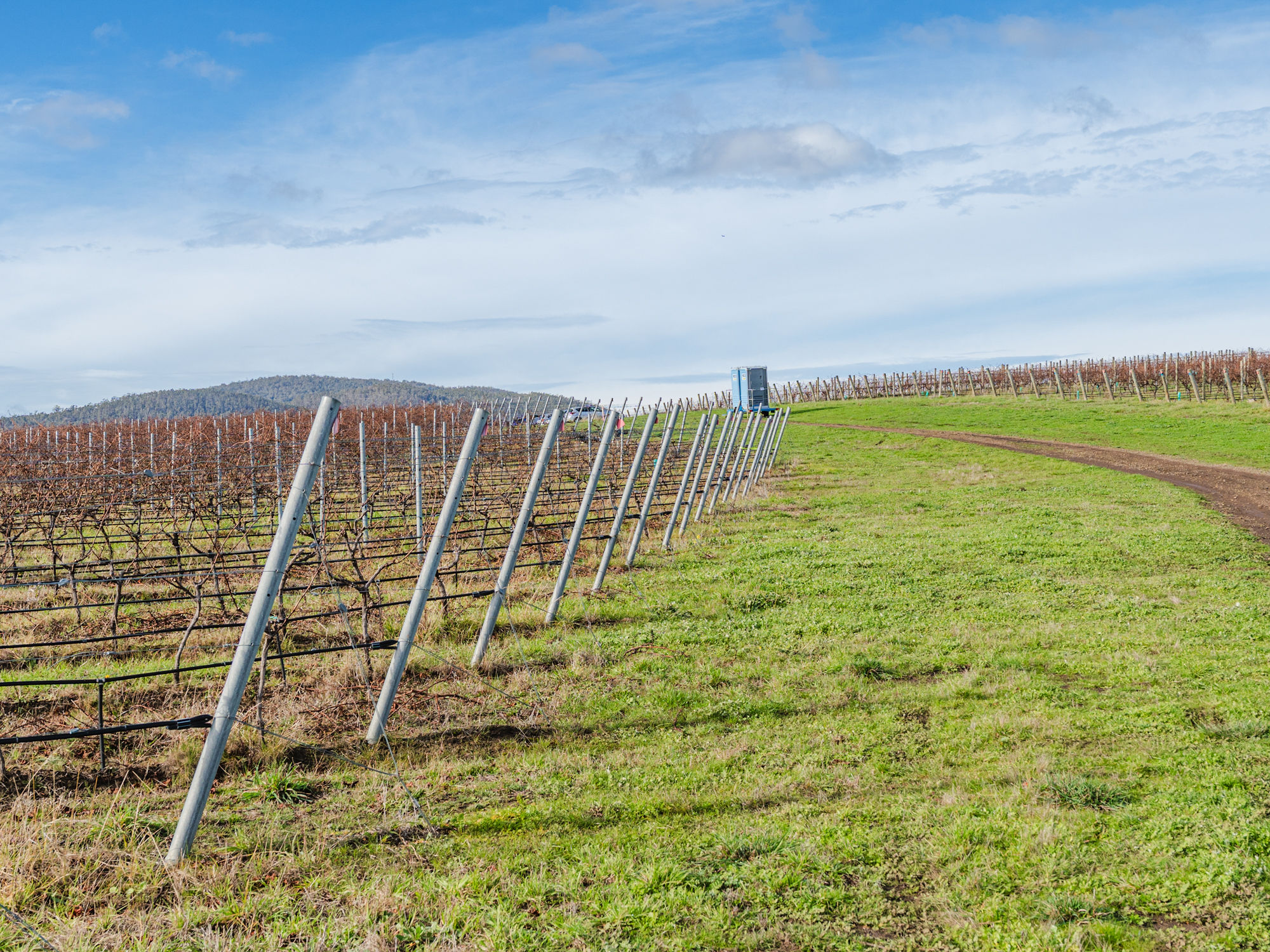 14 Brownwood Estate Road, Campania, TAS, 7026 - Image 5