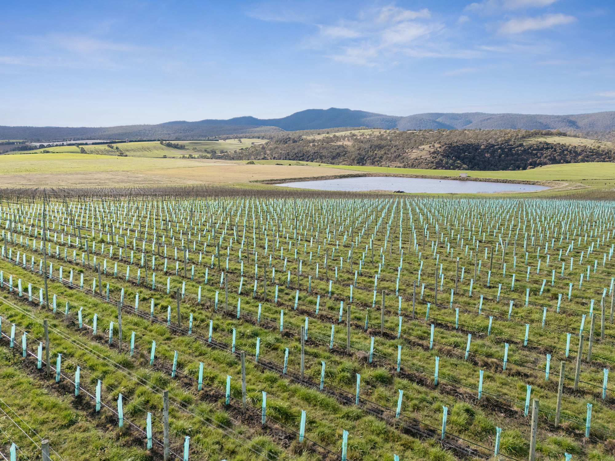 14 Brownwood Estate Road, Campania, TAS, 7026 - Image 6