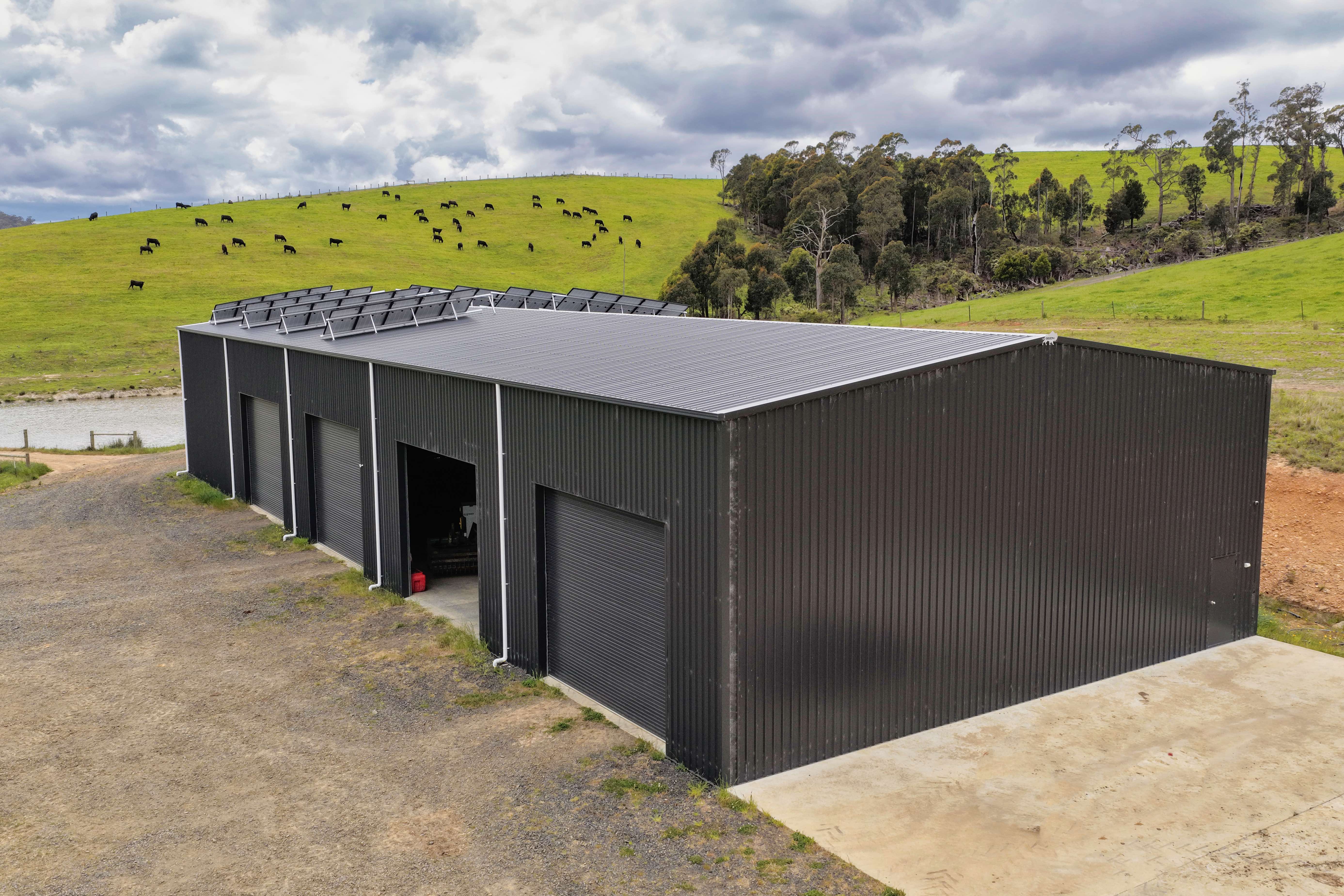 62 Bridport Back Road, Nabowla For Sale by Farmbuy.com - image 10