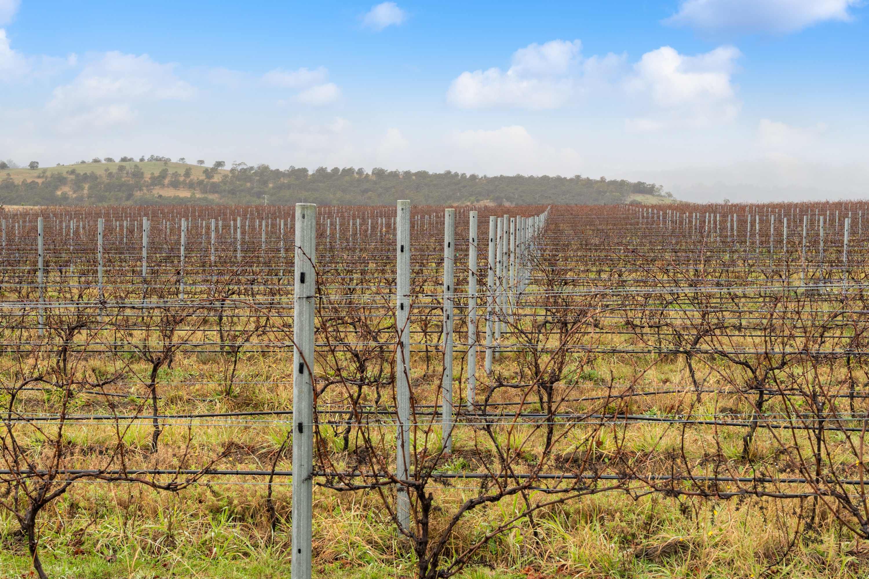 14 Brownwood Estate Road, Campania, TAS, 7026 - Image 7