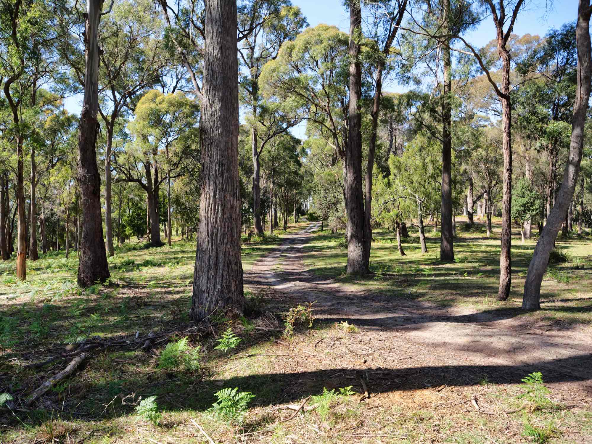 Property/137 Hendersons Lane, Gravelly Beach, TAS, 7276 - Image 3