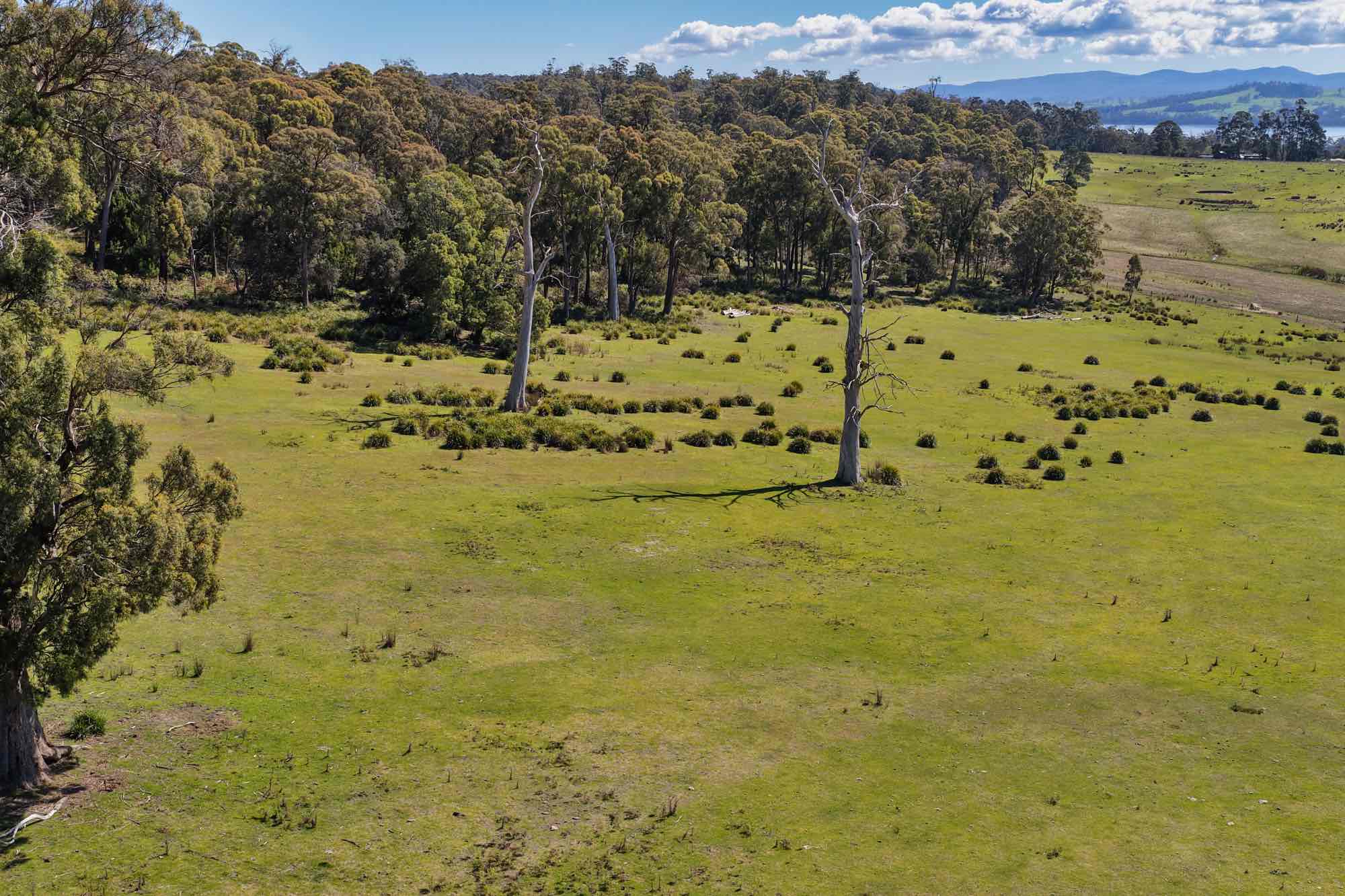 Property/137 Hendersons Lane, Gravelly Beach, TAS, 7276 - Image 10