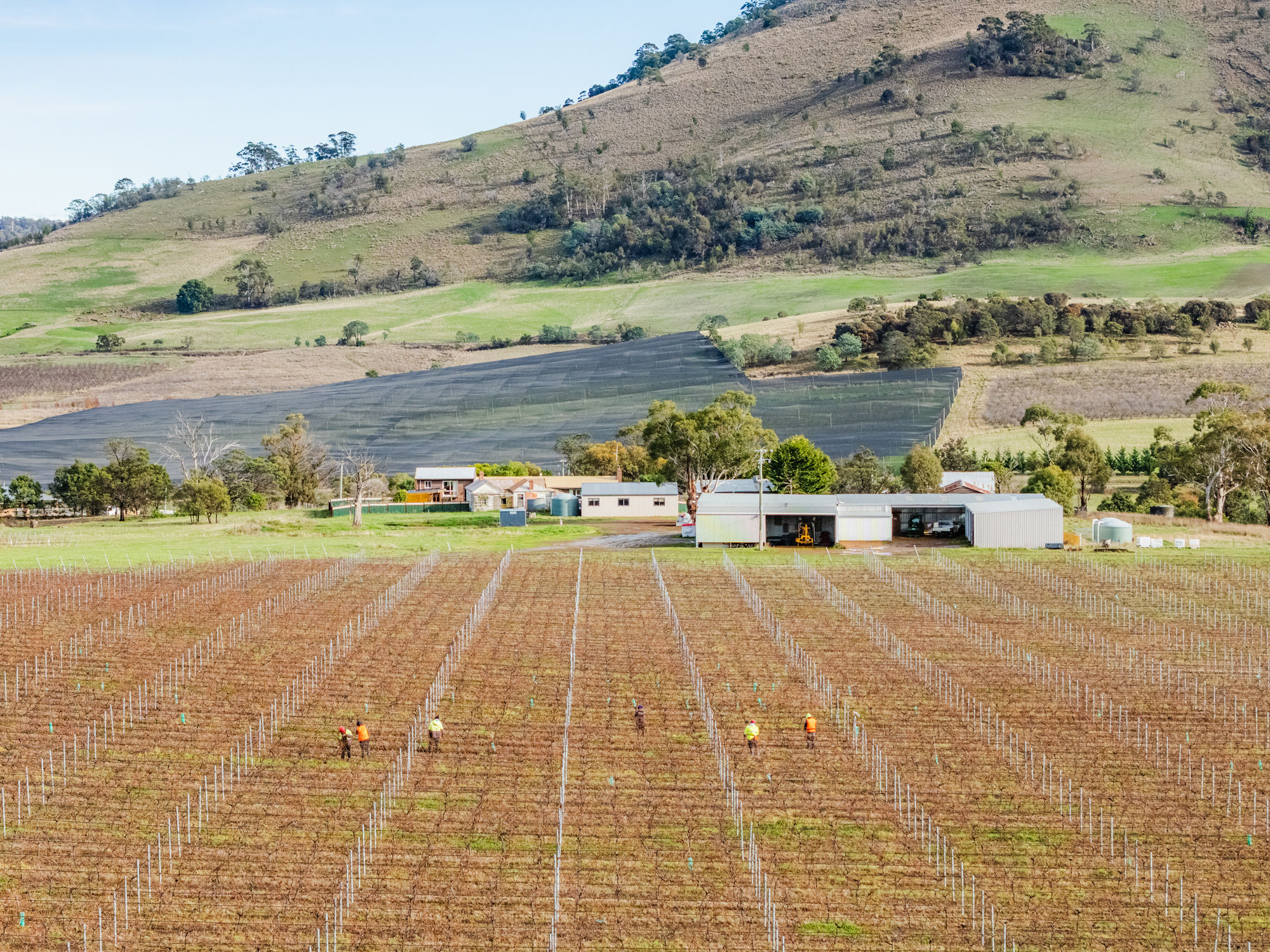 14 Brownwood Estate Road, Campania, TAS, 7026 - Image 8